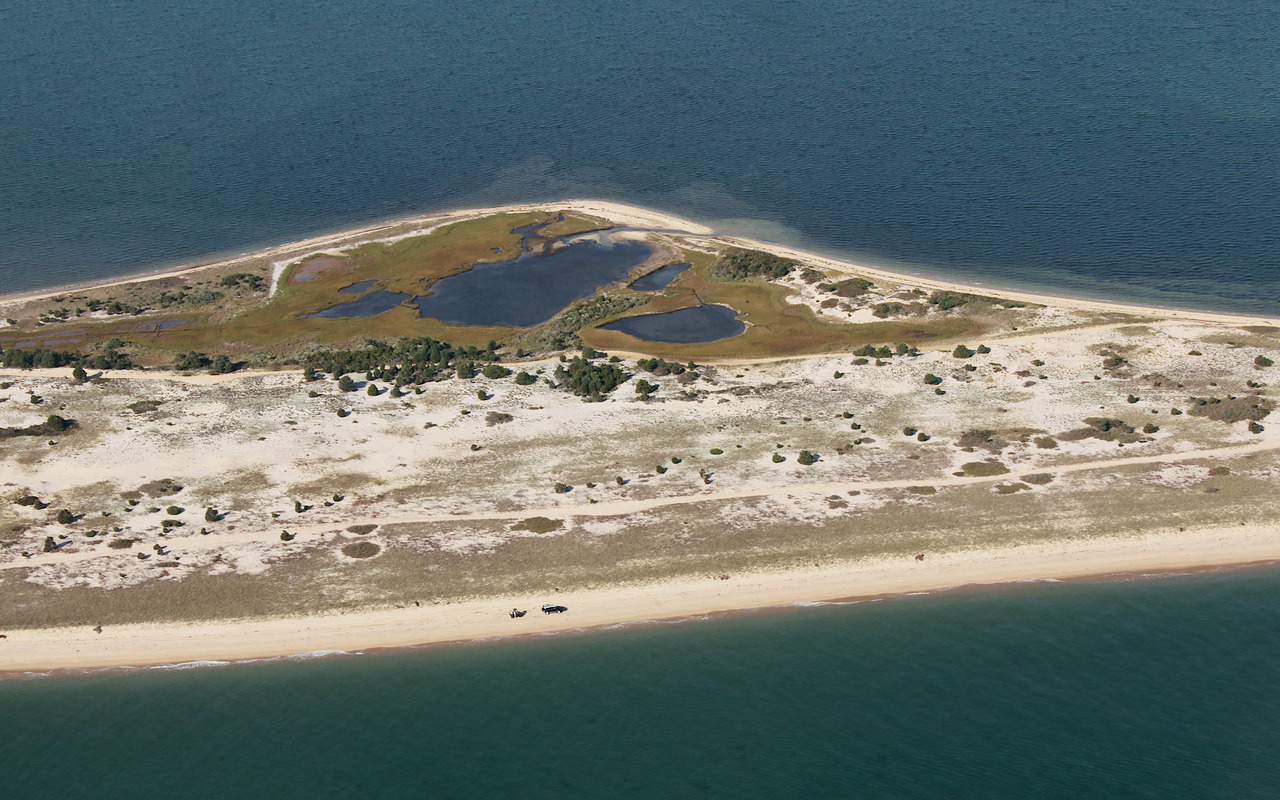 Cape Poge - Barrier Island and Wetland