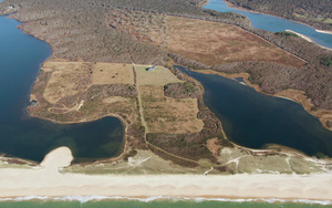 Jobs Neck Pond - Fields - Forests