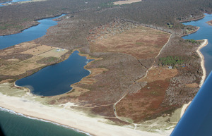 Jobs Neck Pond - Pohogonot - Varied Forests