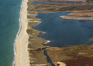 Quansoo - Black Pond - Barrier Beach