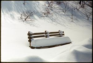 Bench in deep snow, Arnold Arboretum