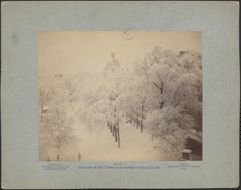 View no. 2, snow scene on Boston Common on the morning of February 29, 1884