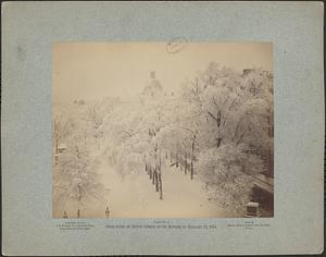 View no. 2, snow scene on Boston Common on the morning of February 29, 1884