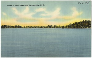 Scene of New River near Jacksonville, N. C.
