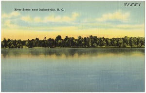River scene near Jacksonville, N. C.