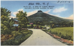 Pilot Mt., N. C., Pilot Mt. a gem of scenic beauty nature's flower garden in May