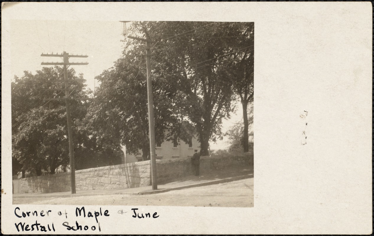 Corner of Maple and June, Westall School