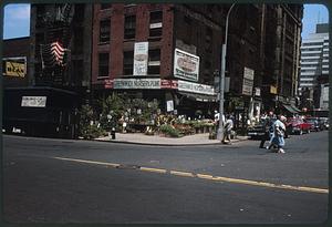Greenwich Nursery & Plant Co. on street corner, Manhattan, New York