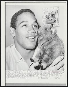 Heisman Trophy winner O.J. Simpson, the number one pick at the pro football player draft meeting in New York 1/28, nuzzles toy Buffalo at his home here after his selection by the Buffalo Bills who won the right to choose first by posting the worst record (1-12-1) in pro football last season. The All-American halfback from So. California said he did not anticipate "any big problems" in contract negotiations with Buffalo.