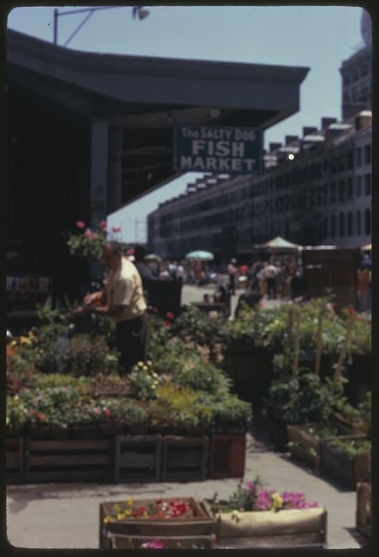 Flowers for sale outside Salty Dog Fish Market, Quincy Market, South