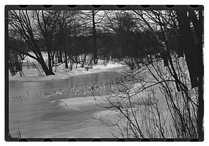 Snow pictures - Fenway