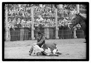 Brockton Fair