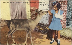 Pet Deer at Children's Zoo on Mill Mountain, Roanoke, Va.