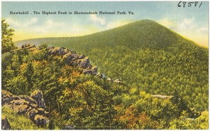 Hawksbill, the highest peak in Shenandoah National Park, Va.