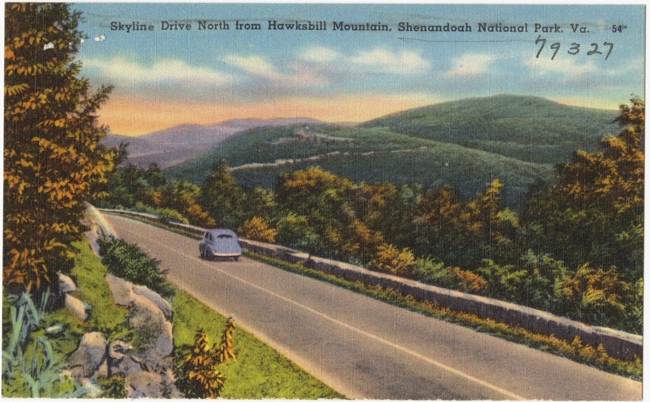 Skyline Drive North from Hawksbill Mountain, Shenandoah National Park, Va.