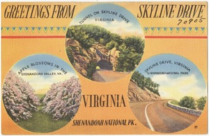 Greetings from Skyline Drive, Virginia, Shenandoah National Pk.