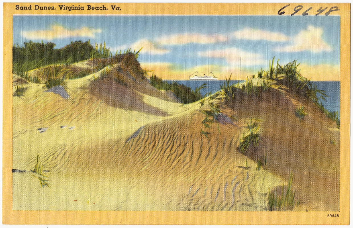 Sand dunes, Virginia Beach, Va.