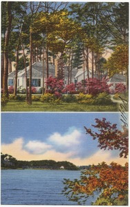 Floral Point Guest House, 118 Pinewood Road, Virginia Beach, VA.