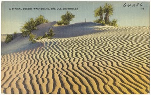 A typical desert washboard, the Ole Southwest