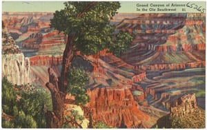 Grand Canyon of Arizona in the Ole Southwest