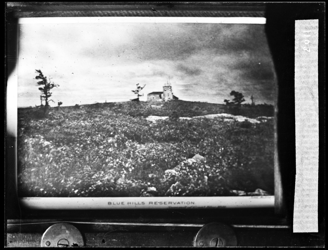 Summit of Great Blue Hill Digital Commonwealth