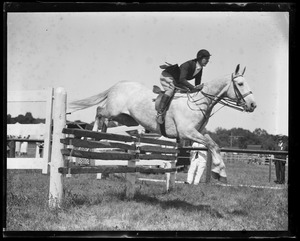 Horsejumping