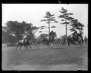 Schooling at country club. Coronel, Bridge, Canterbury