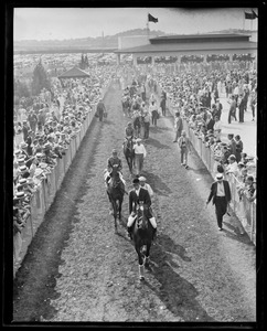 Parading horses before the race, Suffolk Downs
