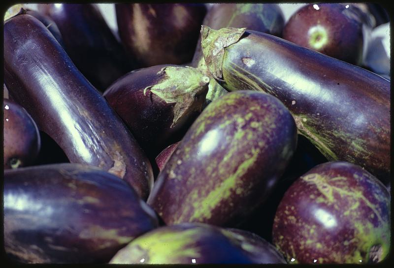 Eggplants Digital Commonwealth