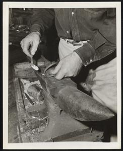 War Booms Horseshoes Miami, Fla.-The toe of the horseshoe is wired on with copper wire, then borax is applied to the toe and put back into the forge. After this treatment the toe becomes a solid part of the shoe, The picture shows borax being applied to the wired toe.