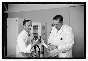 Dr. Dailey Angell Memorial Animal Hospital