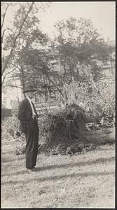 Taken in Blackstone Park, So. End, [a]fter the hurricane, showing roots of trees, 3 all in one row, out of 15 felled. Albrani Restaurant a[t] [c]orner of Washington S[treet] and West Newton in background