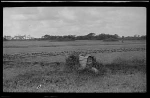 Field with grave mound?