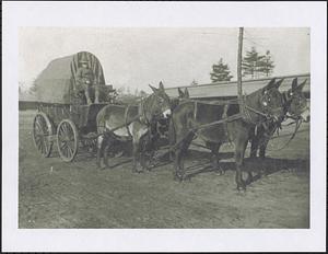 Edward Allis driving a covered wagon with a team of four mules