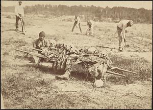Collecting remains of the dead, Cold Harbor