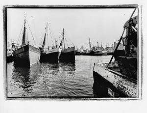 Fishing boats, Gloucester: Natale III, Rosanne Maria, St. Peter III and others