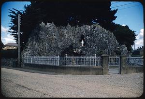 Shrine, Killarney