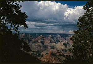 View of Grand Canyon framed by trees, Arizona