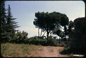 Archaeological site, possibly Palatine Hill, Rome, Italy