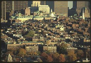 View of Beacon Hill with State House