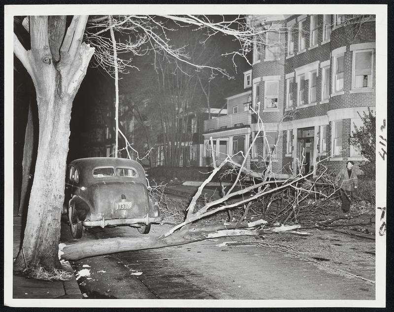 High Winds, coupled with below-freezing temperatures, brought a touch of today. At 38 Intervale street, Roxbury, the strong northwest wind brought tree, narrowly missing a parked car.