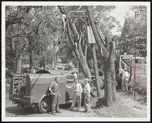 The Navy Lends A Hand to this Pennsylvania line crew of the Bell Telephone Co. Volunteers and a Navy crane help move fallen trees as a cable crew restores service on Pond street, South Weymouth.
