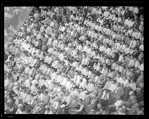 A large crowd of spectators