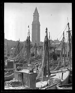 Fishing boats at old T-wharf, Custom House Tower in background