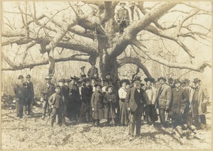 Canton Historical Society and big oak. Canton Farms