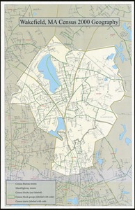 Census tract outline maps