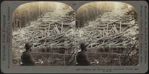 Landing and scaling logs, Aroostook Woods, Maine