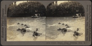 French Cavalry horses swimming river, in Northern France