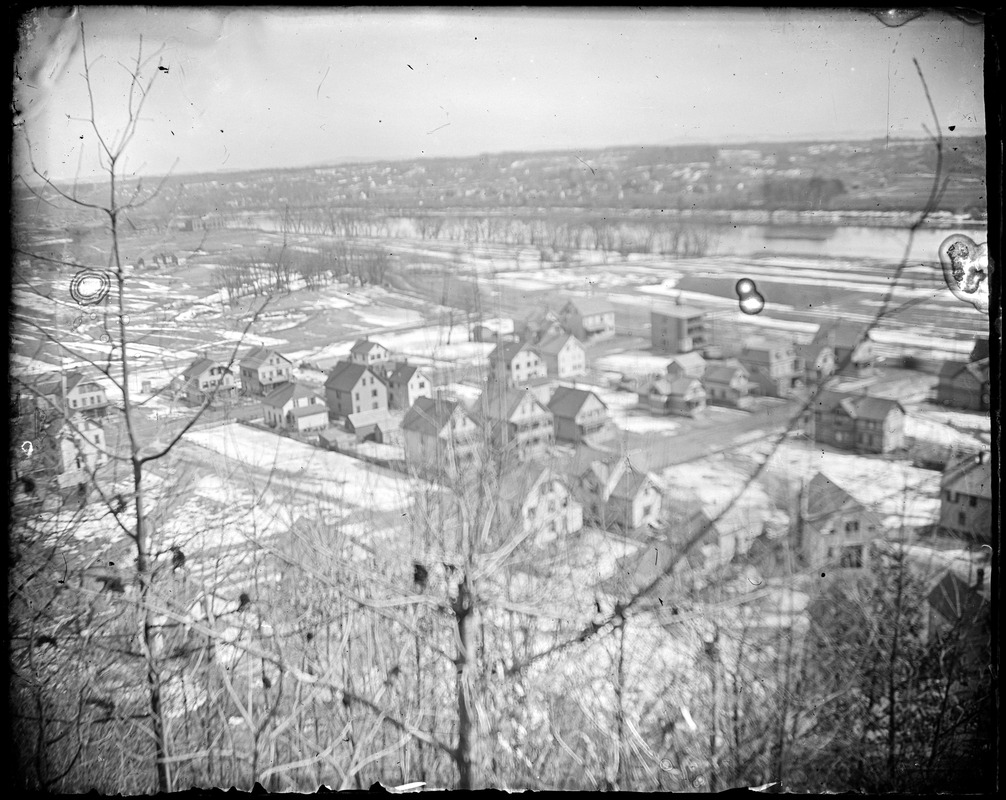 View of the Springdale neighborhood