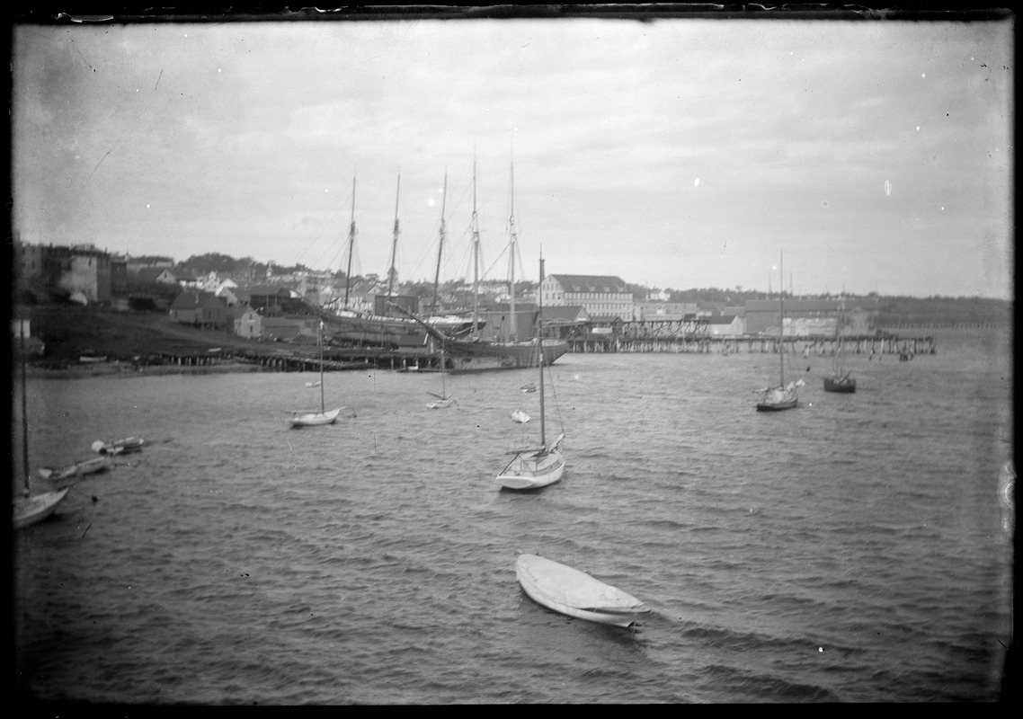 Sailboats and tall ships in a harbor